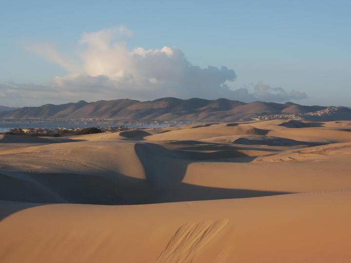 Royal Oak Hotel Best Western Plus | San Luis Obispo, California | 5